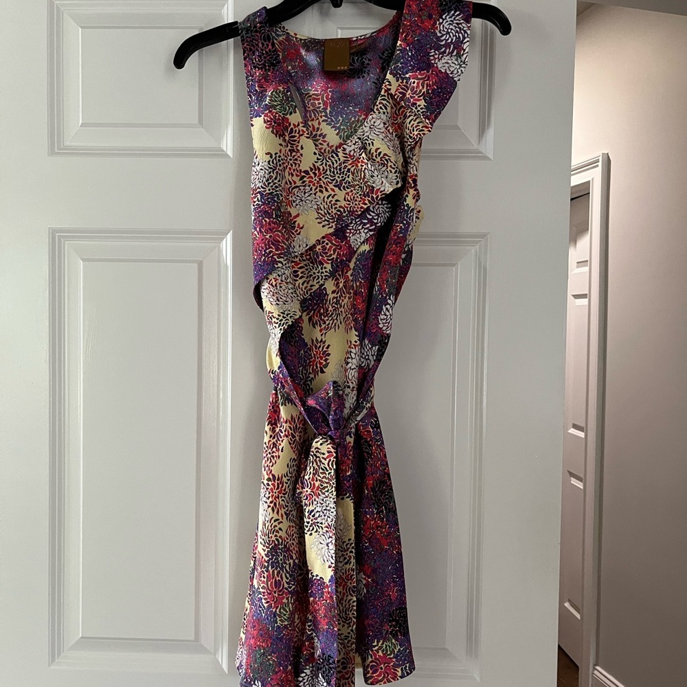 Ali Ro Dress